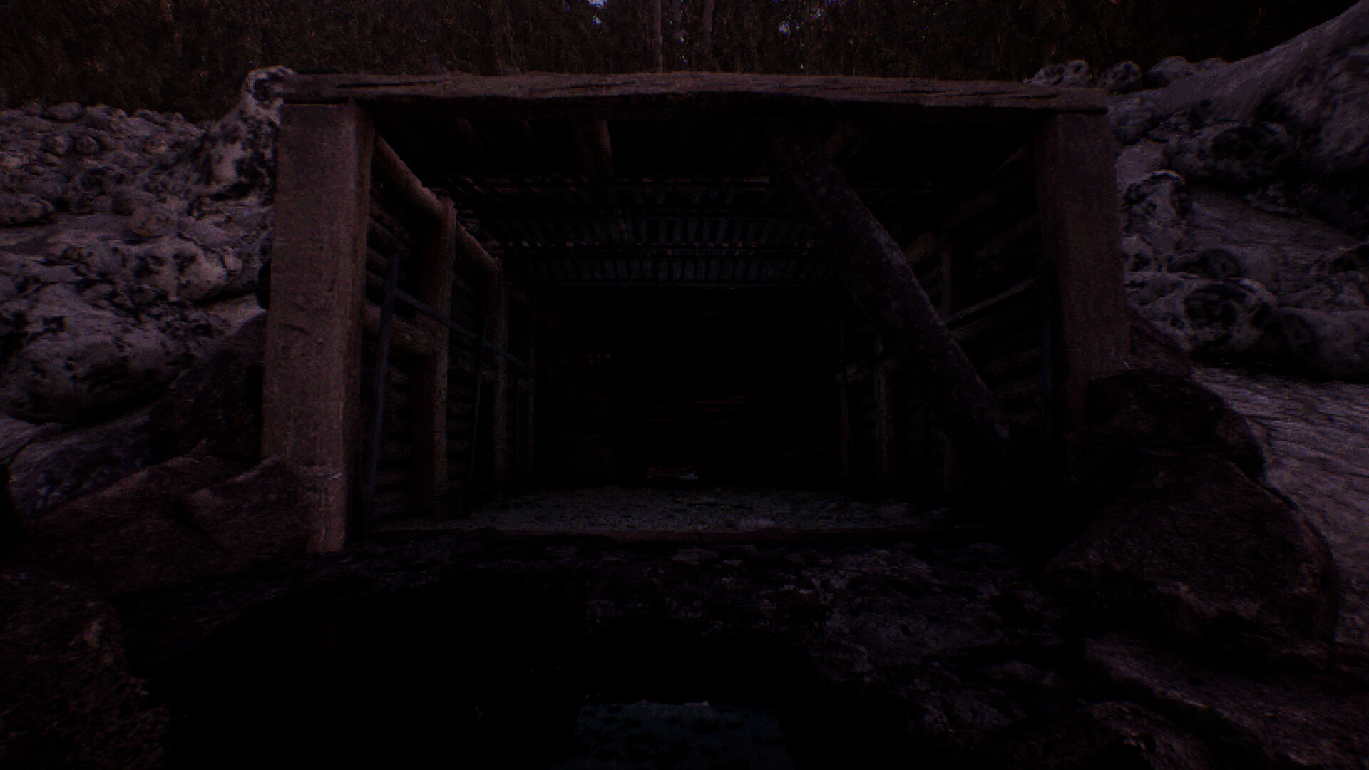 凝视之林：虱子/The Watching Woods: The Louse